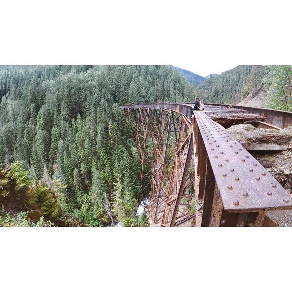 Meet your Posher, Kali - Picture 1 of 1